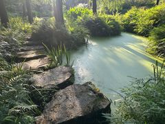 -上海滨江森林公园