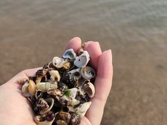 -青岛第二海水浴场