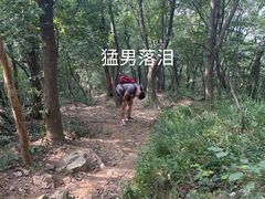 -紫金山山顶公园