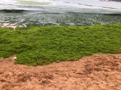 -青岛第三海水浴场