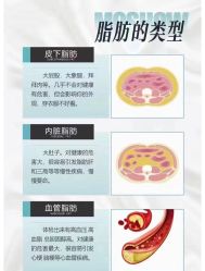 -Fundi张玉珊修身堂·indiba·BTL科技瘦身