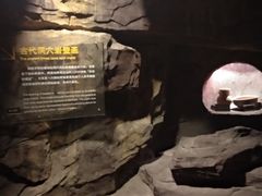 -上海动漫博物馆