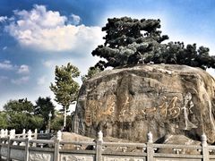 -福如东海文化园