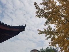 -武昌江滩