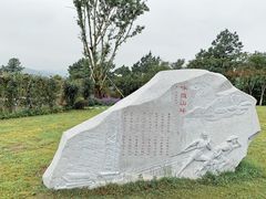 -铁山坪森林公园