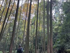 -凤栖山
