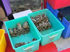 -蟹天蟹地农家菜·阳澄湖大闸蟹(浅水湾店)