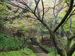 -溪口商量岗景区