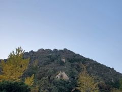 -北京鹫峰国家森林公园