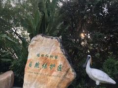 -福田红树林生态公园