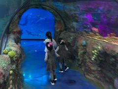 -沈阳海洋探索中心