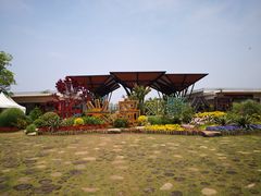 -上海长兴岛郊野公园