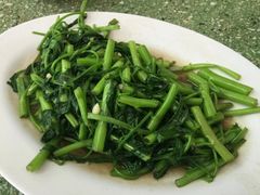 -新峰肉骨茶