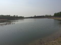-东郊湿地公园