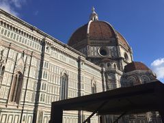 -圣母百花大教堂穹顶