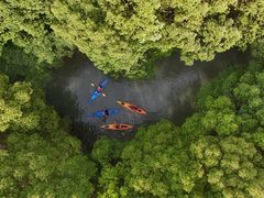 -动邦皮划艇·桨板·独木舟·团建户外运动俱乐部