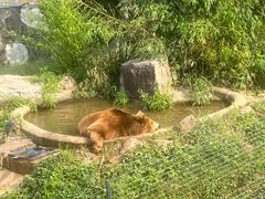 -无锡动物园·太湖欢乐园