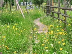-楠溪江风景名胜区