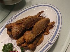 -老雒阳面馆·水席(洛宁高速路口店)