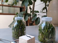 -自如ZSPACE四合院艺术餐厅