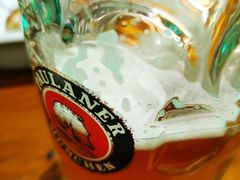 宝莱纳黄啤-宝莱纳餐厅(滨江店)