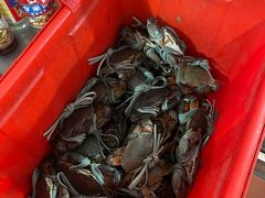 -老财炒饭·熟地蟹·冬瓜蟹