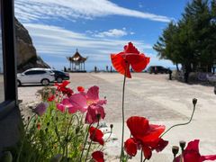 -白草畔自然风景区