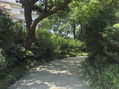 -兰溪青年公园