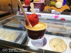 -哈根达斯(美罗城店)