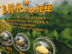 -成都动物园
