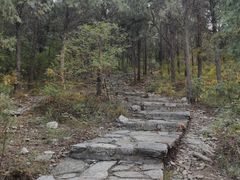 -原山国家森林公园