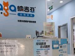 -纳吉亚猫专科动物诊疗中心(蒋宅口分院)