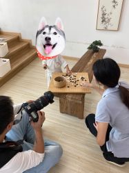 -尤尼可国际影像(万源分店)