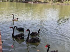 -中国移动南方基地