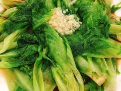 -绿丰园农家菜(南北大厦店)