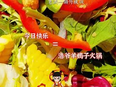 -浩爷羊蝎子火锅(望京店)