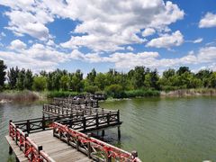 -野鸭湖国家湿地公园