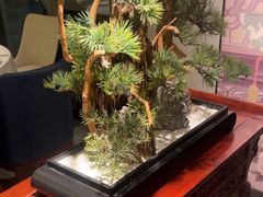 -顺峰(农展馆店)