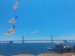 -星海广场