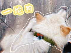 -上海来福士广场