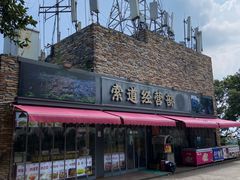 -紫金山山顶公园