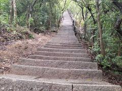 -梧桐山风景名胜区