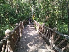 -梧桐山风景名胜区