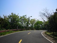 -宝界山林公园