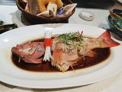 东星斑（蓝斑）/斤-金正海悦大酒店·法式铁板烧·演绎(海悦天地购物广场店)