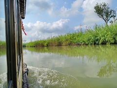 -泗洪洪泽湖湿地景区