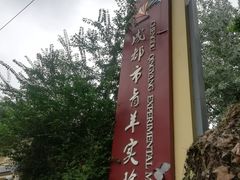 -成都市青羊实验中学(优品道校区)