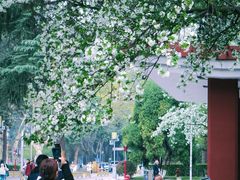 -四川大学(望江校区)