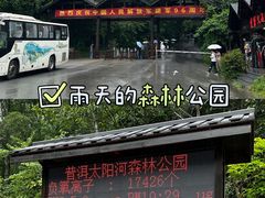 -普洱太阳河森林公园