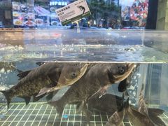 -湘轩·土菜研究院(光大店)